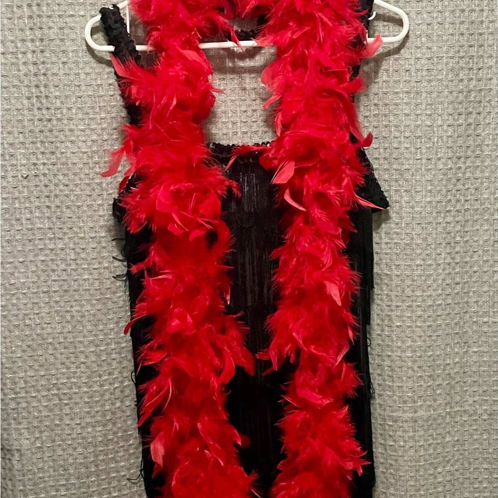 Roaring Twenties Costume – Fringe Dress & Feather Boa
